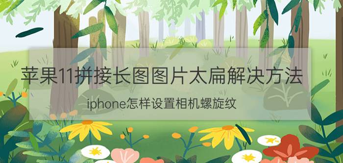 苹果11拼接长图图片太扁解决方法 iphone怎样设置相机螺旋纹？